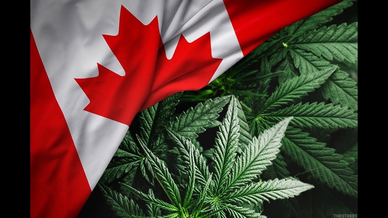 Understanding Legal Age in Canada – Rights & Responsibilities