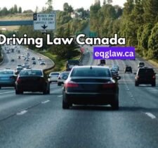 Canada's New Driving Laws