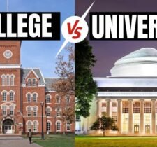 Difference Between College and University