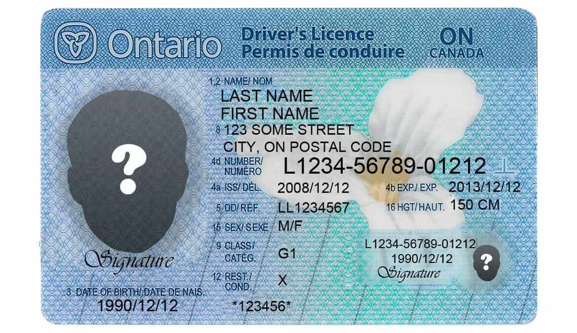 Driver’s License in Ontario