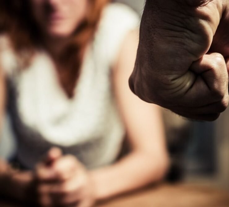 Domestic Violence Domestic Violence