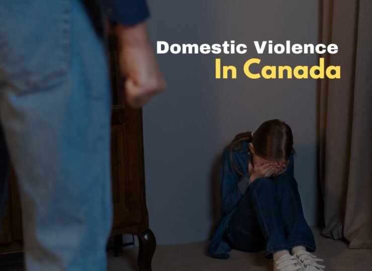Domestic Violence in Canada