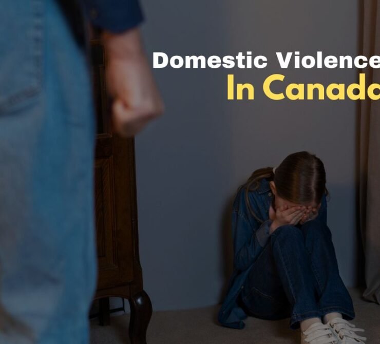Domestic Violence in Canada Domestic Violence in Canada