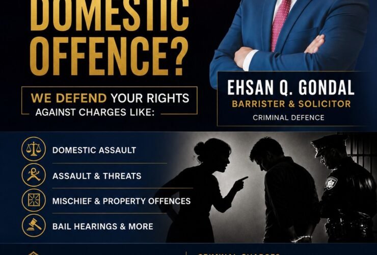 Domestic Offense