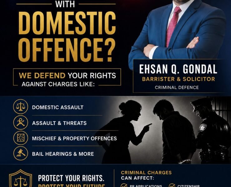 Domestic Offense